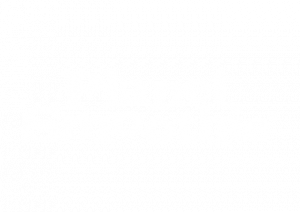 Planet Smoothie Marketing Manual